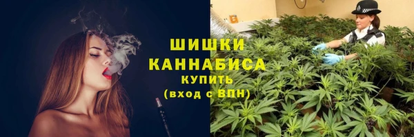 ПСИЛОЦИБИНОВЫЕ ГРИБЫ Алексеевка