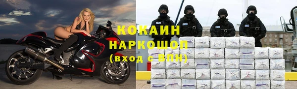 дживик Алзамай
