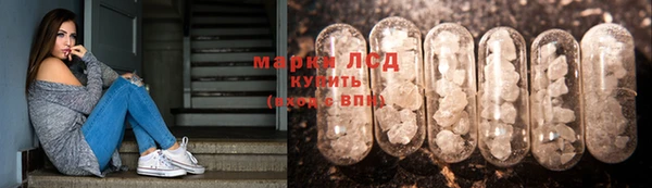 ПСИЛОЦИБИНОВЫЕ ГРИБЫ Алексеевка