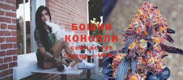 прущие грибы Кодинск