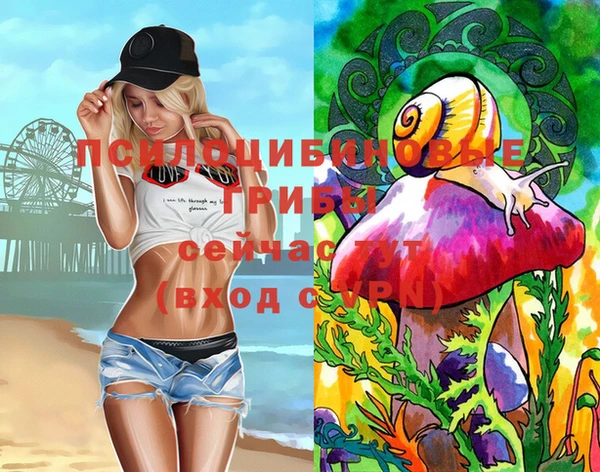 ПСИЛОЦИБИНОВЫЕ ГРИБЫ Алексеевка